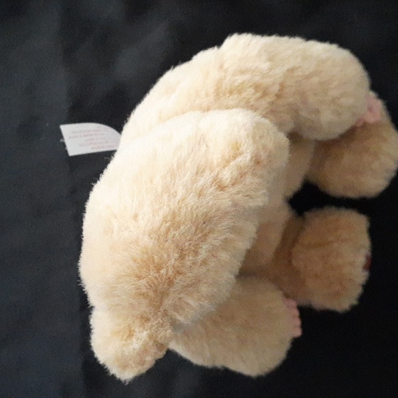 Anne Geddes Bear Baby 8" Toy - Picture 9 of 13